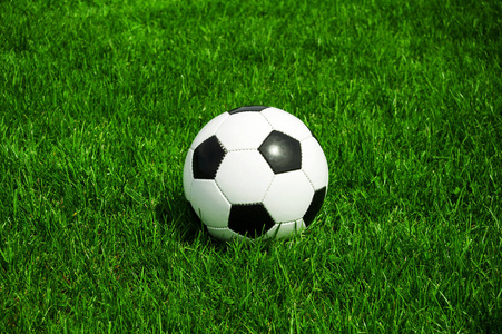 篮球爱好者观赛场景